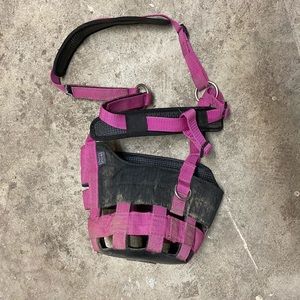 Pink horse grazing muzzle